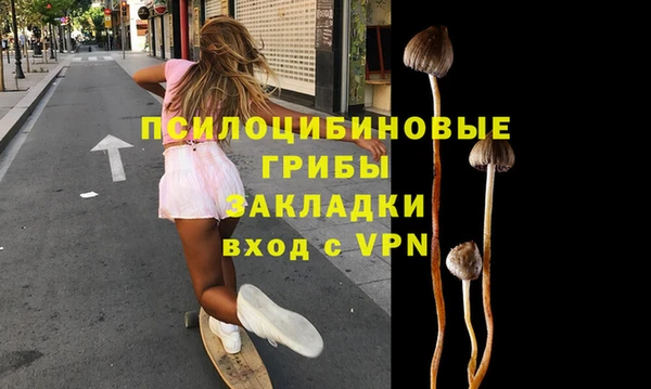 МДПВ Алзамай