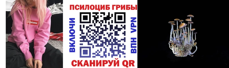 Псилоцибиновые грибы мухоморы Хвалынск