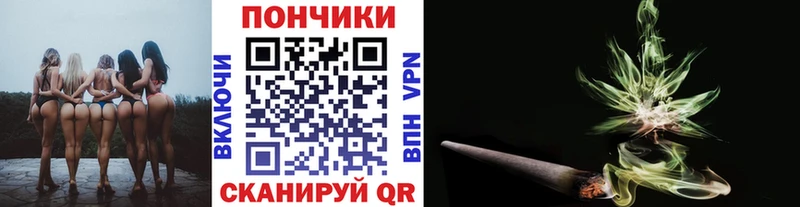 Канабис план  наркотики  Хвалынск 